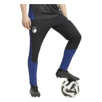 adidas FC Kopenhagen Training Trainingshose Herren - black