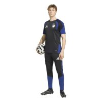 adidas FC Kopenhagen Training Trainingshose Herren - black