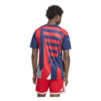adidas FC Bayern Pre-Match Trikot Herren - nindig/betsca