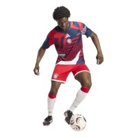 adidas FC Bayern Pre-Match Trikot Herren - nindig/betsca