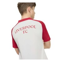 adidas FC Liverpool Auswärts Pre-Match Trikot Kinder - gretwo