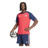 adidas FC Bayern Auswärts Pre-Match Trikot Herren - purrub