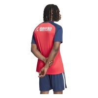 adidas FC Bayern Auswärts Pre-Match Trikot Herren - purrub