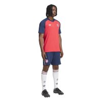 adidas FC Bayern Auswärts Pre-Match Trikot Herren - purrub