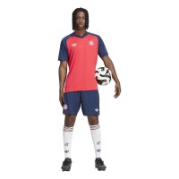 adidas FC Bayern Auswärts Pre-Match Trikot Herren - purrub