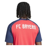 adidas FC Bayern Auswärts Pre-Match Trikot Herren - purrub