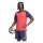 adidas FC Bayern Auswärts Pre-Match Trikot Herren - purrub