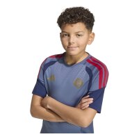 adidas FC Bayern Training Trikot Kinder - prloin/nindig