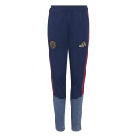 adidas FC Bayern Training Trainingshose Kinder -...