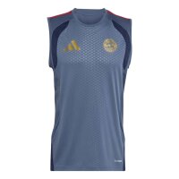 adidas FC Bayern Training SL Trikot Herren - prloin/nindig