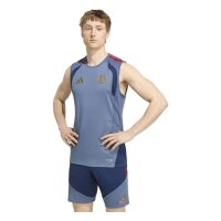 adidas FC Bayern Training SL Trikot Herren - prloin/nindig
