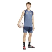 adidas FC Bayern Training SL Trikot Herren - prloin/nindig