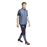 adidas FC Bayern Winvst Weste Herren - prloin/nindig