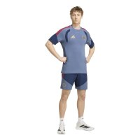 adidas FC Bayern T-Shirt Herren - prloin/nindig
