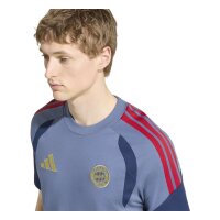 adidas FC Bayern T-Shirt Herren - prloin/nindig