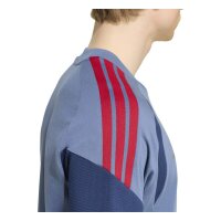 adidas FC Bayern T-Shirt Herren - prloin/nindig