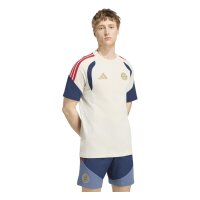 adidas FC Bayern T-Shirt Herren - aluminium/nindig