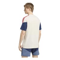 adidas FC Bayern T-Shirt Herren - aluminium/nindig