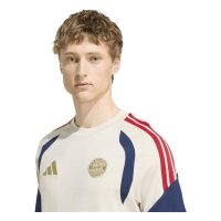 adidas FC Bayern T-Shirt Herren - aluminium/nindig