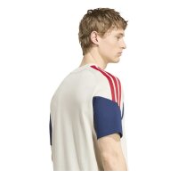 adidas FC Bayern T-Shirt Herren - aluminium/nindig