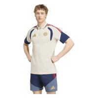 adidas FC Bayern Polo Herren - aluminium/nindig