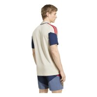 adidas FC Bayern Polo Herren - aluminium/nindig