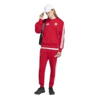 adidas FC Bayern Munich Dna Sweatshirt Herren - betsca/white