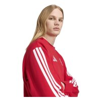 adidas FC Bayern Munich Dna Sweatshirt Herren - betsca/white