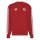 adidas FC Bayern Munich Dna Sweatshirt Herren - betsca/white