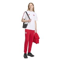 adidas FC Bayern Munich Dna lange Hose Herren - betsca/white