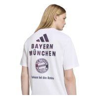 adidas FC Bayern Season Graphic T-Shirt Herren - white/nindig