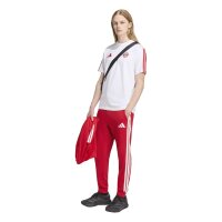 adidas FC Bayern Munich Dna T-Shirt Herren - white/betsca