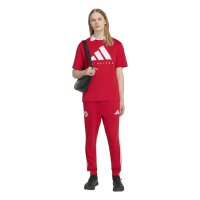 adidas FC Bayern Munich Dna Graphic T-Shirt Herren - betsca/white