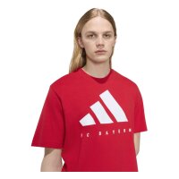 adidas FC Bayern Munich Dna Graphic T-Shirt Herren - betsca/white