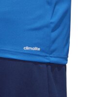 adidas Assita 17 Torwartrikot Kinder - blau/weiß