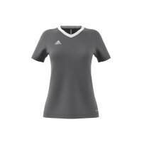 adidas Entrada 22 Trikot Damen - grau/weiß
