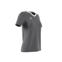 adidas Entrada 22 Trikot Damen - grau/weiß