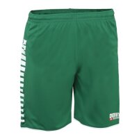 Derbystar Hyper Shorts Kinder - grün/weiß