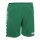 Derbystar Hyper Shorts Kinder - grün/weiß