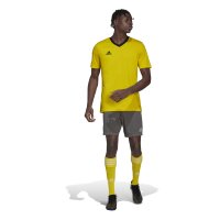 adidas Entrada 22 Trikot Herren - gelb