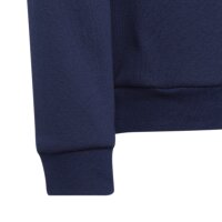 adidas Entrada 22 Hoodie Kinder - blau