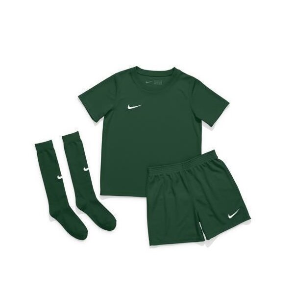 Nike Park 20 Trikot Set Kinder - grün