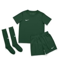 Nike Park 20 Trikot Set Kinder - grün