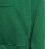 adidas Entrada 22 Hoodie Kinder - grün 176