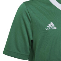 adidas Entrada 22 Trikot Kinder - grün -140