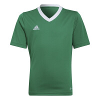 adidas Entrada 22 Trikot Kinder - grün -140