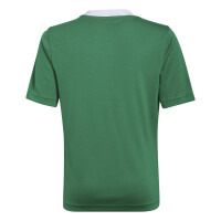 adidas Entrada 22 Trikot Kinder - grün -140