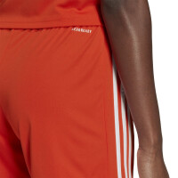 adidas Squadra 21 Shorts Damen - orange-XL