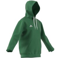 adidas Entrada 22 Hoodie Herren - grün