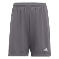 adidas Entrada 22 Shorts Kinder - grau-164